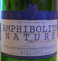 medium_amphibolite-nature-muscadet-agriculture-biologique-luc-bretones.jpg